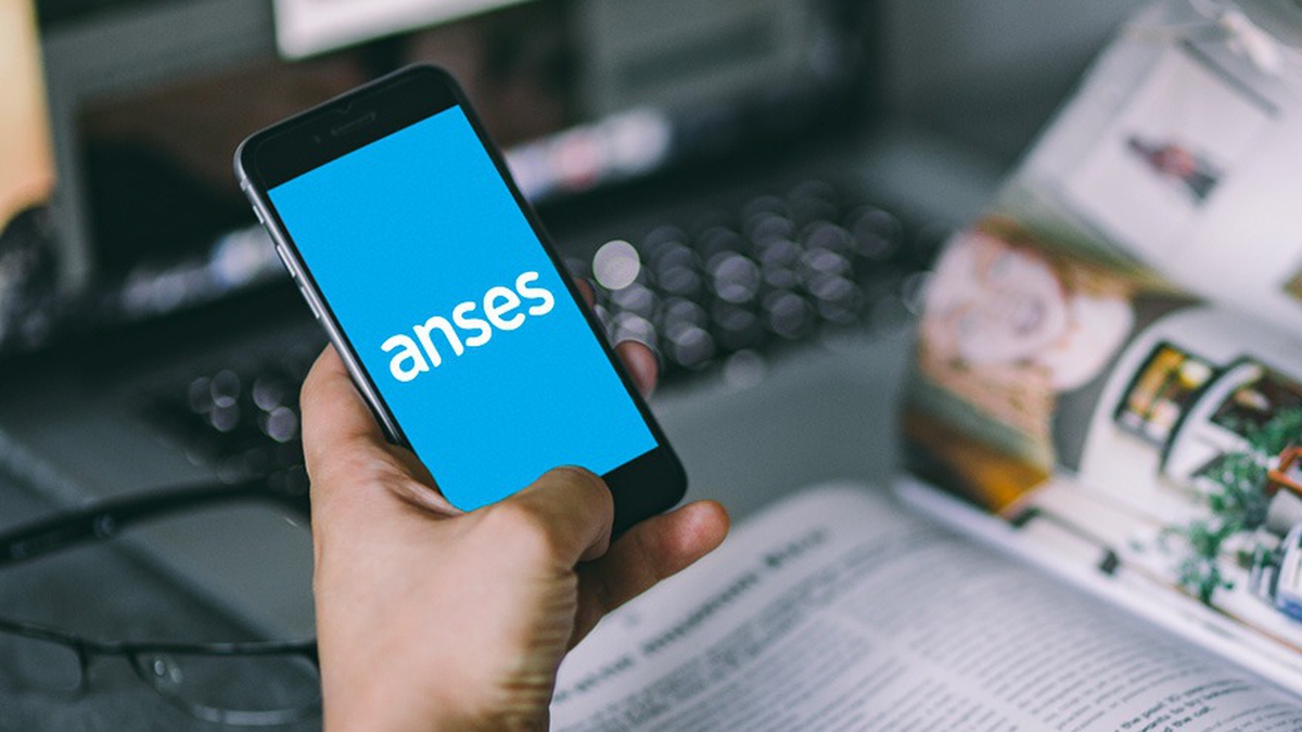 turno anses