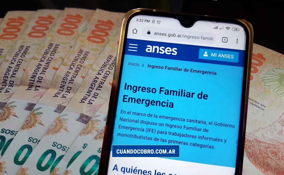 informacion ife 4