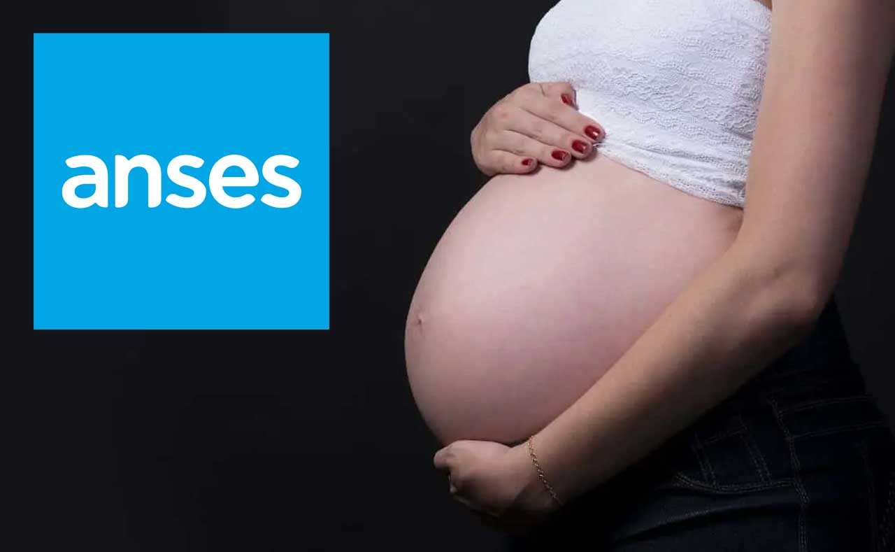 asignacion por embarazo