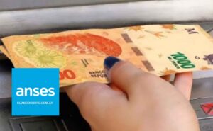 complemento suaf diciembre 2021