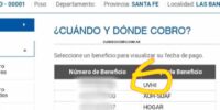 UVHI ANSES 2022