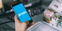 turno anses